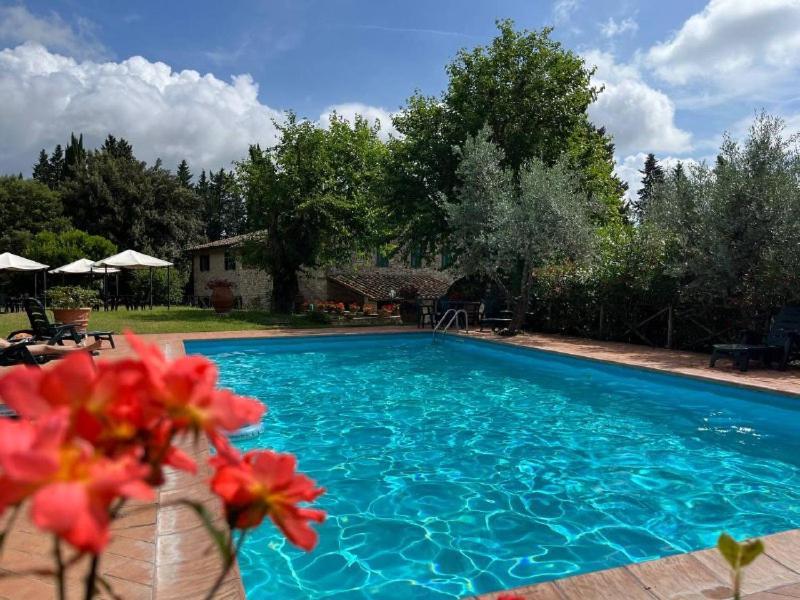 Il Cascino * Greve in Chianti
